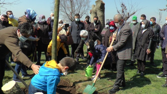 Üsküdar’da Kız Kulesinde Katledilen Ağaçların Yerine Yenileri Dikildi