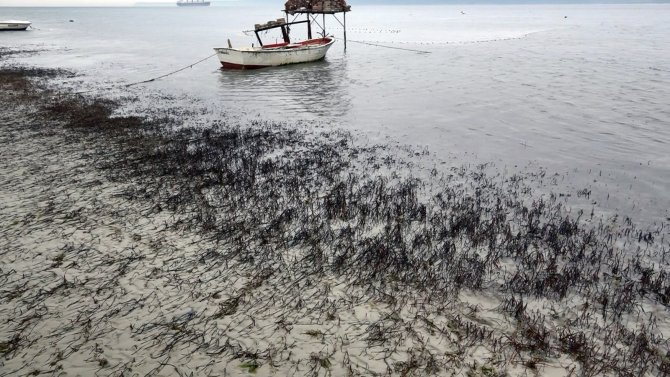 Çanakkale’de Deniz 30 Metre Çekildi