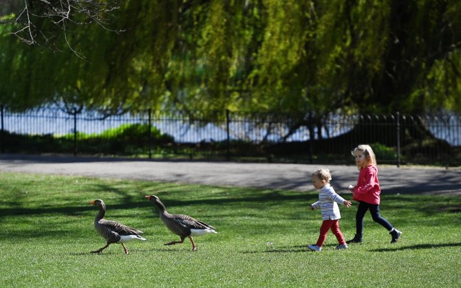 Londra’da Halk Park Ve Bahçelere Akın Etti