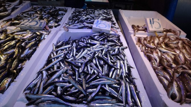 Sezonun Son Hamsileri Tezgahlarda