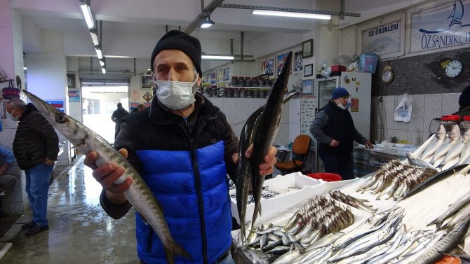 Karadeniz’de Kırlangıç Ve Kalkan Balığı Bereketi