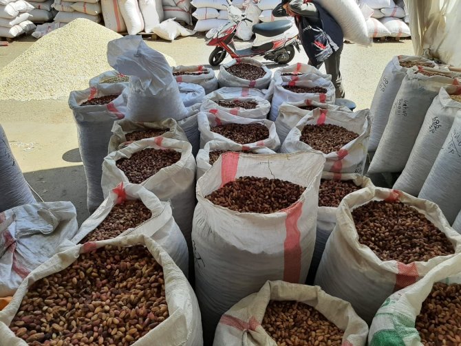 Antep Fıstığında Fiyatlar Düşüyor