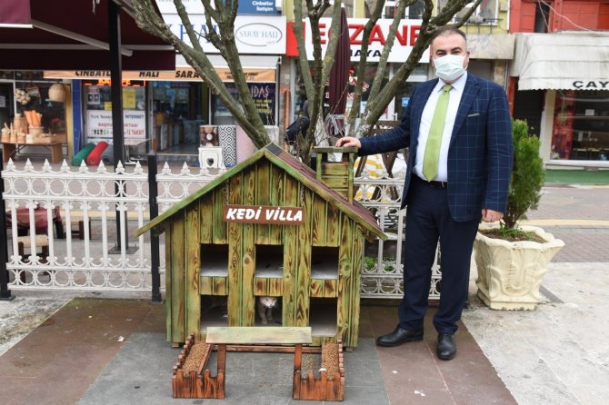 Kediler İçin Villa Yaptılar, Şehrin Çeşitli Noktalarına Yerleştirdiler