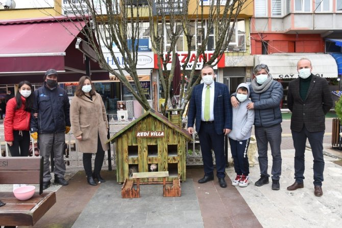 Kediler İçin Villa Yaptılar, Şehrin Çeşitli Noktalarına Yerleştirdiler