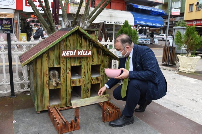 Kediler İçin Villa Yaptılar, Şehrin Çeşitli Noktalarına Yerleştirdiler