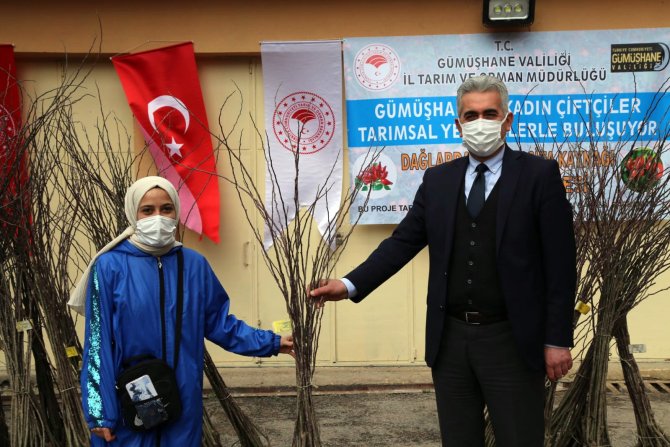 Gümüşhane’de Kadın Çiftçilere Dikensiz Kuşburnu Fidanı Dağıtıldı