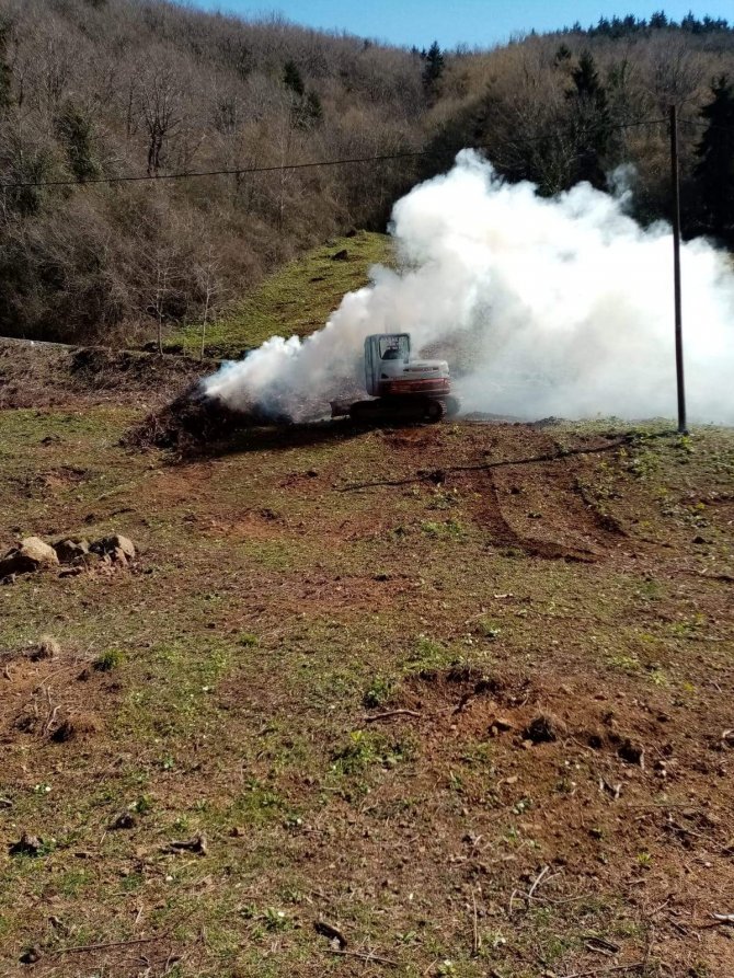 Fındık Bahçelerine Zarar Veren Drakula İle Mücadele Sürüyor