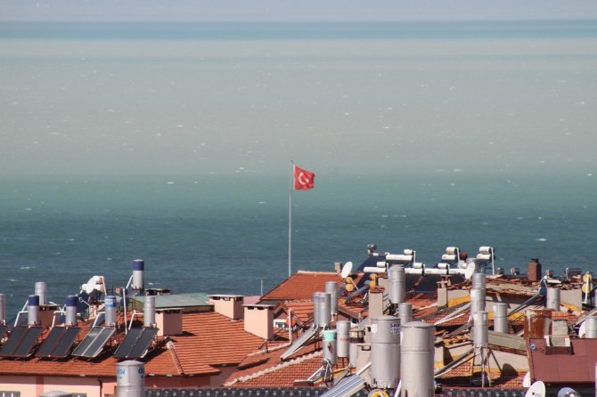 Beyşehir Gölü’nün Yüzeyi Çamur Rengine Dönüştü