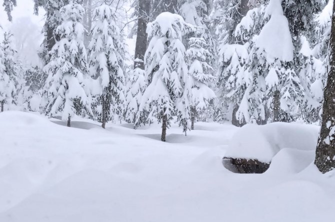 Nisan Karı Şaşırttı, Kar Kalınlığı 120 Santimetreyi Buldu