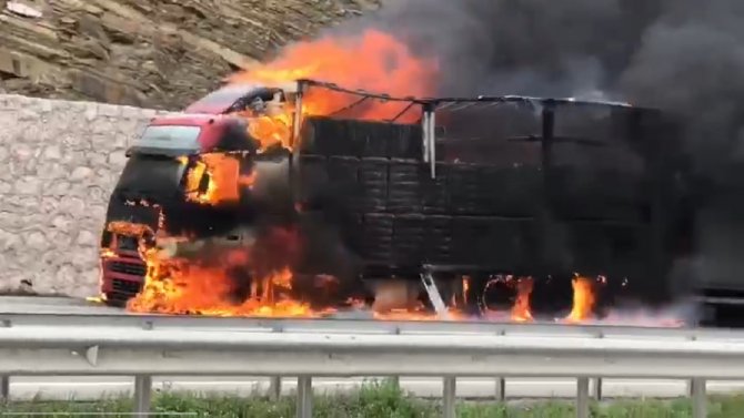 Samsun’da 600 Bin Liralık Pamuk, Tırla Birlikte Alev Alev Yandı