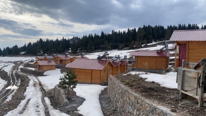 Artvin’deki Turistlik Yayla Evlerinde Hayvanat Bahçesini Aratmayan Görüntüler