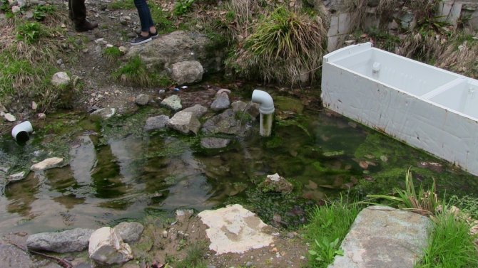 Artvin’de Kaderine Terk Edilmiş Tarihi Kaplıca İlgi Bekliyor