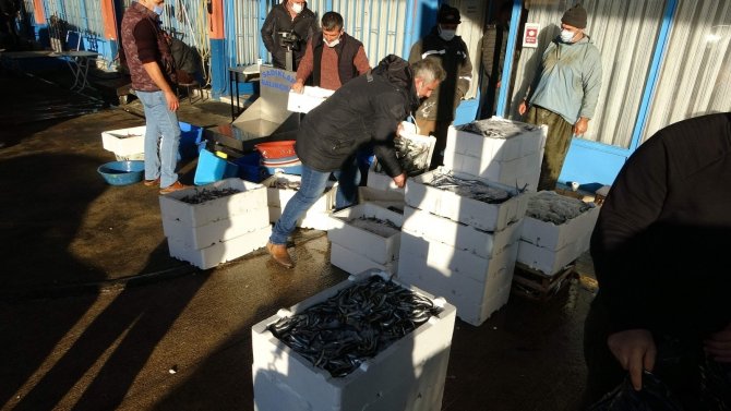 Trabzon’da Son 7 Yıldaki Balık Miktarı 40 Milyon Kilograma Yaklaştı