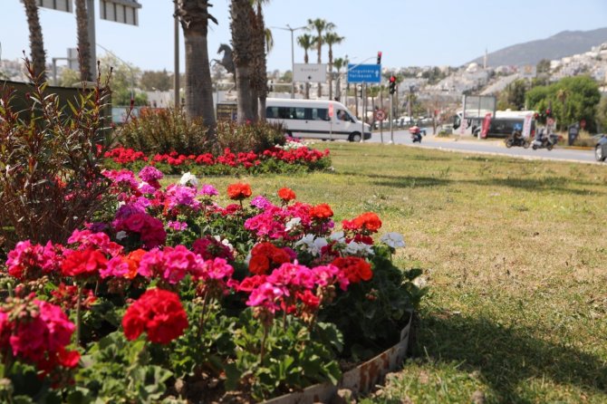 Bodrum Belediyesi Kısıtlamayı Fırsata Çevirdi
