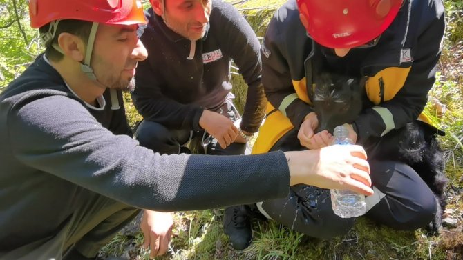 Artvin’de Kayalıklardan Düşen 2 Aylık Keçi Yavrusu 24 Saat Sonra Kurtarıldı