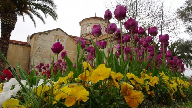 Trabzon’daki Ayasofya Camii Laleler İle Bir Başka Güzel