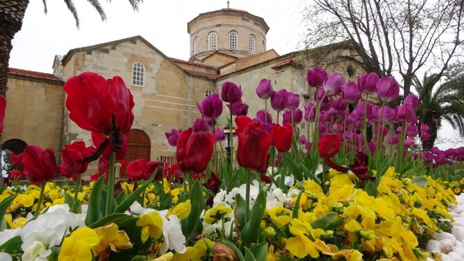 Trabzon’daki Ayasofya Camii Laleler İle Bir Başka Güzel