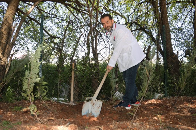 Göbek Bağları Hastane Bahçesine Gömüldü
