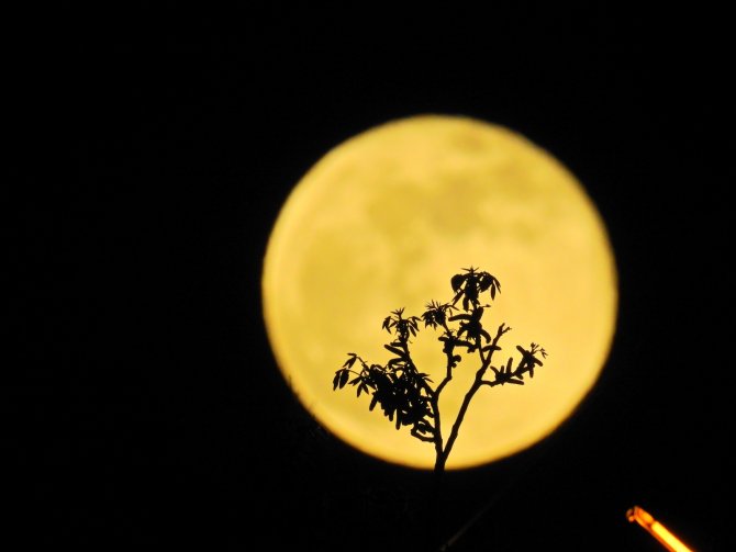 Gümüşhane’de Kartpostallık Dolunay Manzarası