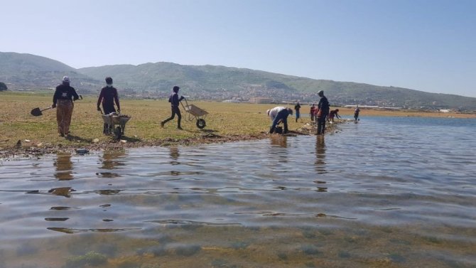 Lübnan’da Tonlarca Sazan Balığı Telef Oldu