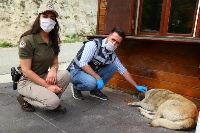 Artvin’de “Tam Kapanma” Sürecinde Sokak Hayvanlarına Polis Ekiplerinden Şefkat Eli