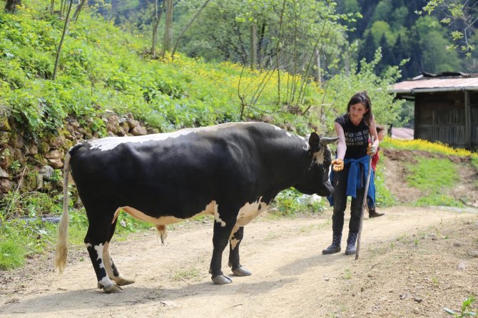 Köy Yaşamından Paylaştığı Videolarla Sosyal Medya Fenomeni Oldu