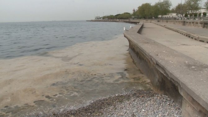 Caddebostan Sahili’nde Deniz Salyası Tedirginliği Artarak Devam Ediyor