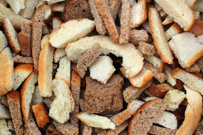 Kuru Ekmekler Biyogübre Üretiminde Kullanılacak