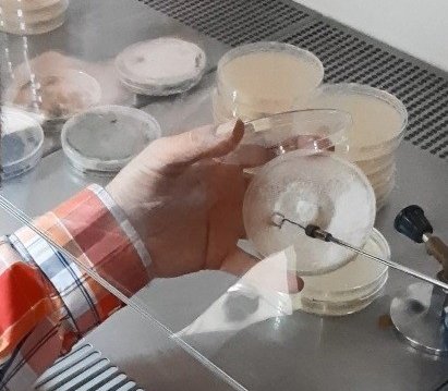 Kuru Ekmekler Biyogübre Üretiminde Kullanılacak