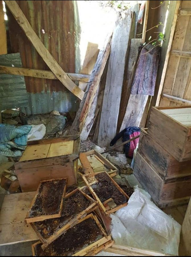 Önce Yatağına Yatmış Sonra Kovanlarını Parçalamış