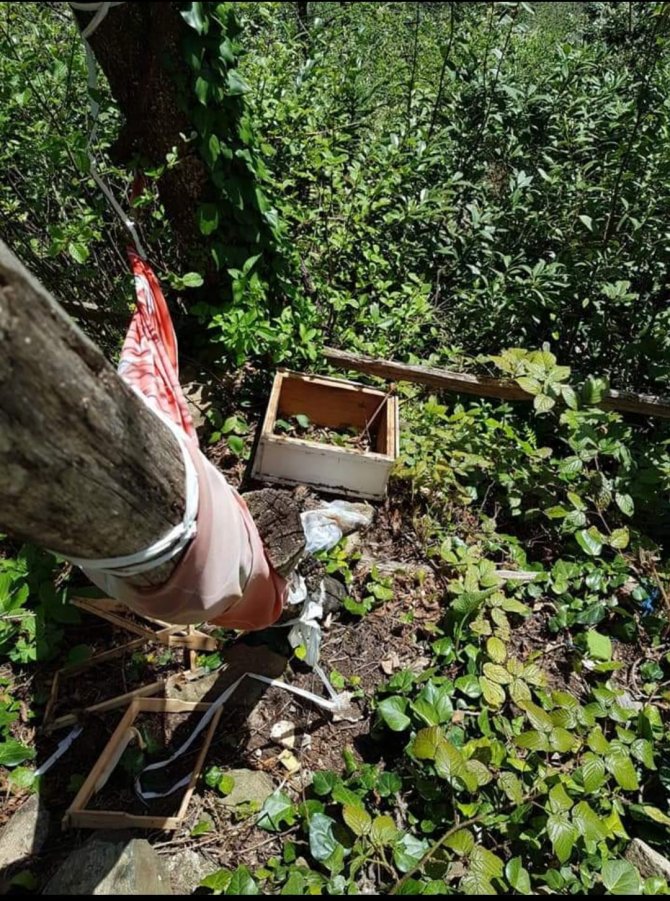 Önce Yatağına Yatmış Sonra Kovanlarını Parçalamış