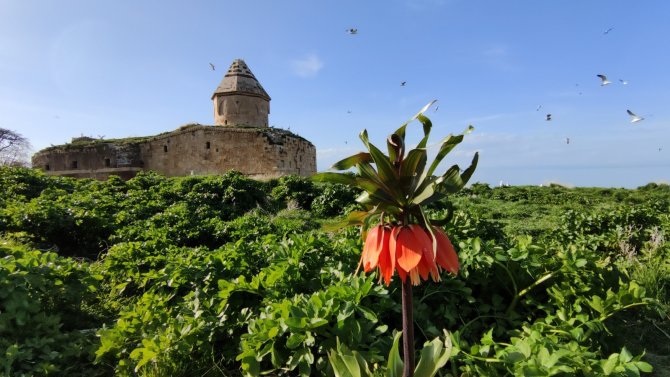 Van Gölü’nün El Değmemiş Güzelliği ’Çarpanak Adası’ Baharla Bambaşka Güzel