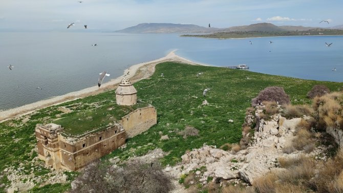 Van Gölü’nün El Değmemiş Güzelliği ’Çarpanak Adası’ Baharla Bambaşka Güzel