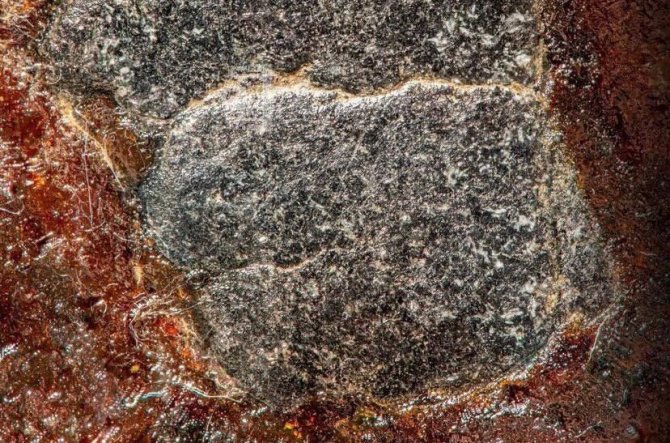 Hacerü’l Esved, Yakından Fotoğraflandı