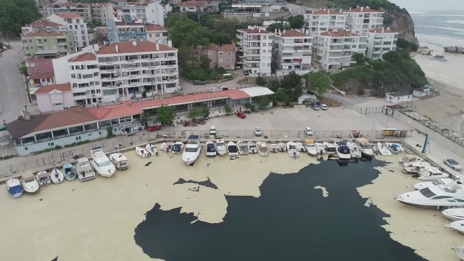 Marmara Denizini Saran Deniz Salyaları Uydudan Bile Görüldü