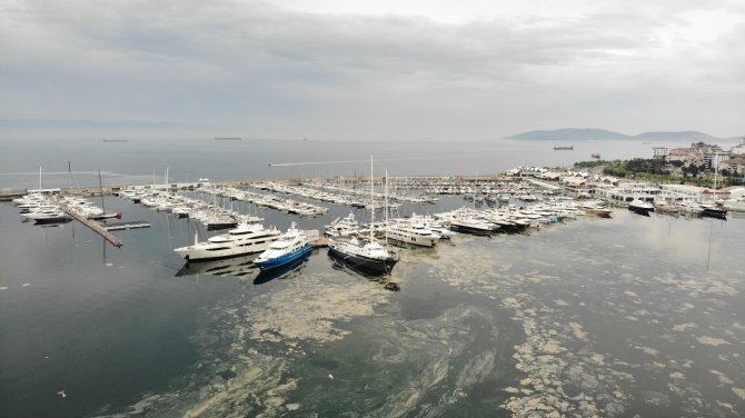 Pendik Marinada Denizi Kaplayan Deniz Salyaları Havadan Görüntülendi