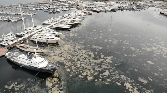 Pendik Marinada Denizi Kaplayan Deniz Salyaları Havadan Görüntülendi