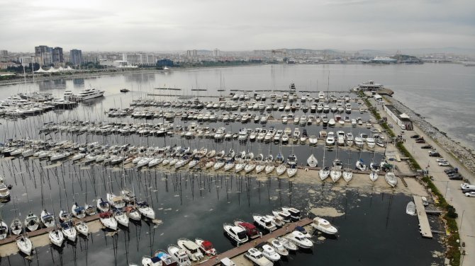 Pendik Marinada Denizi Kaplayan Deniz Salyaları Havadan Görüntülendi