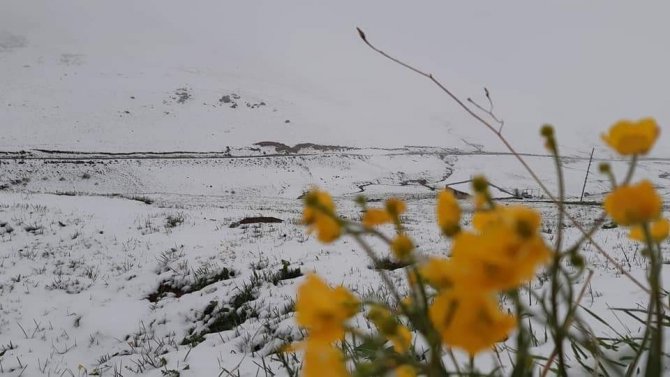 Doğu Karadeniz’de Mayıs’ta Yaylalarda Kar Süprizi