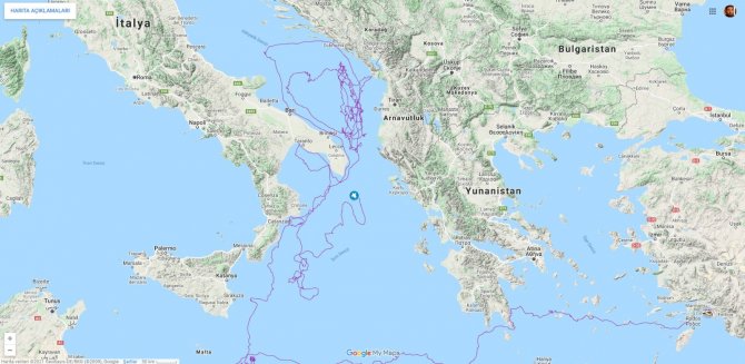 Uydudan İzlenen Caretta Caretta İki Yılda 10 Bin Kilometre Yol Aldı