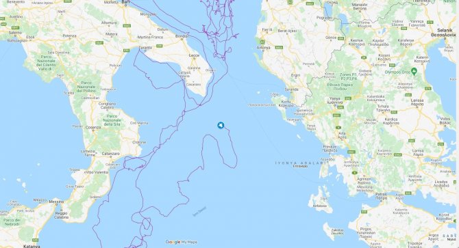 Uydudan İzlenen Caretta Caretta İki Yılda 10 Bin Kilometre Yol Aldı
