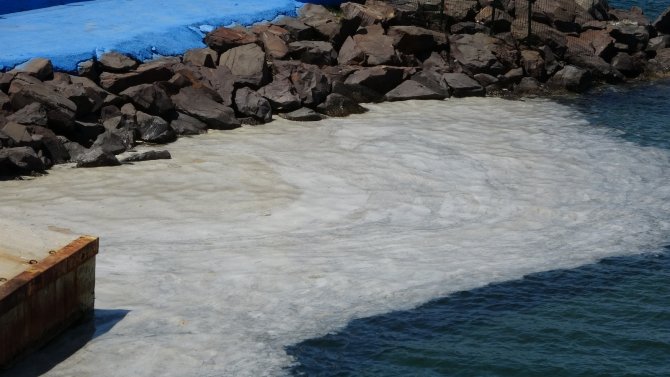 Çanakkale Boğazı’ndaki Deniz Salyaları Şiddetli Poyrazla Birlikte Kısmen Dağıldı