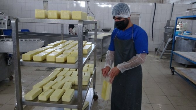 Karadeniz’in Mıhlama Peynir İhtiyacı Muş’tan