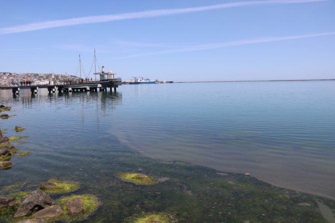 Samsun Limanı’nda Tedirgin Eden Kirlilik: Gözler Gemilerde
