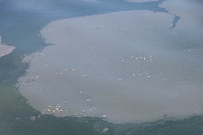 Samsun Limanı’nda Tedirgin Eden Kirlilik: Gözler Gemilerde
