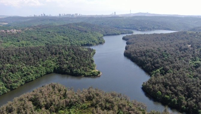 Elmalı Barajı’nda Doluluk Oranı Rekor Seviyede