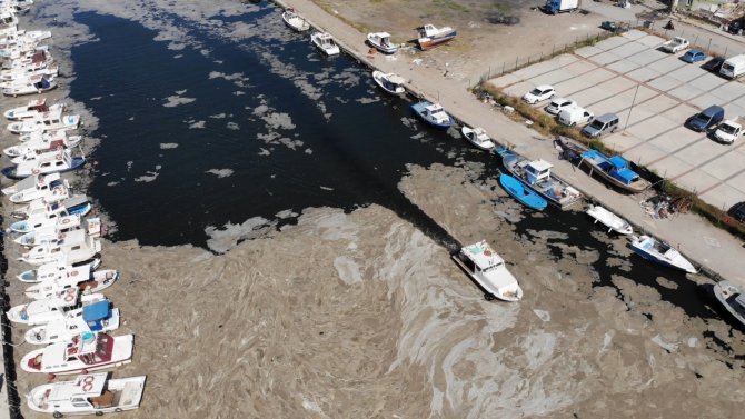 Çanakkale’yi Ortadan İkiye Bölen Sarıçay Deniz Salyasına Teslim Oldu