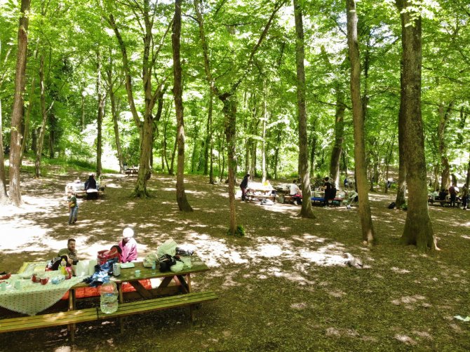 İstanbullular Belgrad Ormanı’na Akın Etti