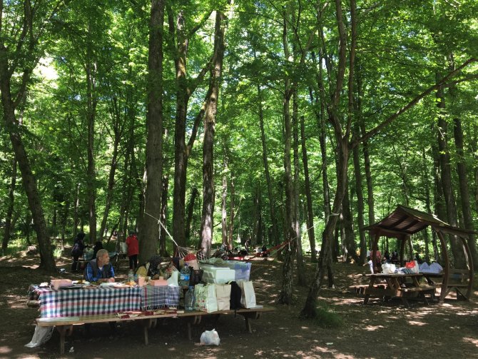 İstanbullular Belgrad Ormanı’na Akın Etti