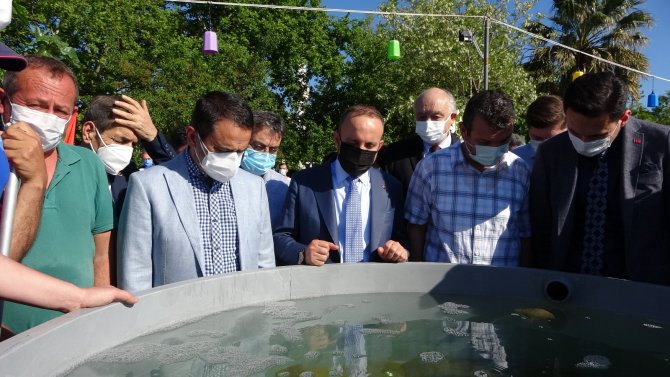 22 Bin Yavru Balık Çanakkale Boğazı’na Bırakıldı